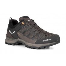 Salewa Hiking Shoes Mtn Trainer Lite GTX (Approach, Waterproof) Brown Men